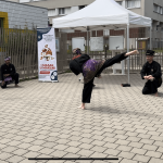 Culture Silat - Démo Silat à Noisiel - 2024 (4)