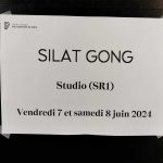 Culture Silat - Répétiotions Philharmonie Paris- 20240607 (14)